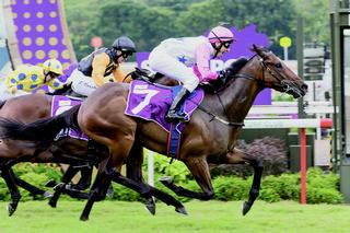 Debt Collector (NZ) (Thorn Park) was voted Champion Miler and Champion Older Horse.